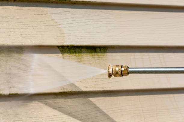 Best Affordable Pressure Washing  in Arcola, TX